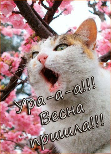 Весна