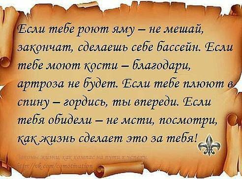 Приколы