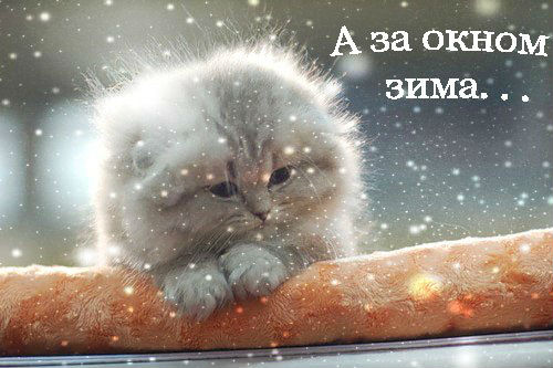 Открытка «Зима» №864