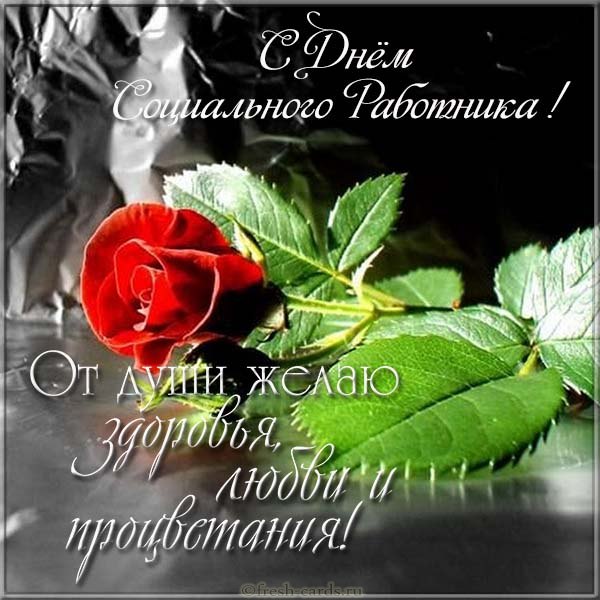 Открытка «День социального работника» №7206