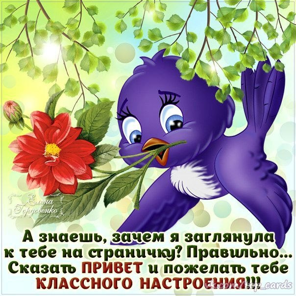Привет