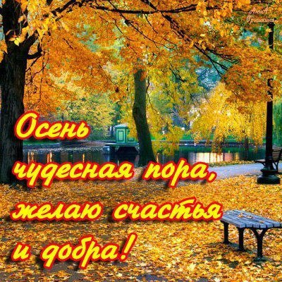 Открытка «Осень» №3199