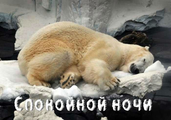 Спокойной ночи
