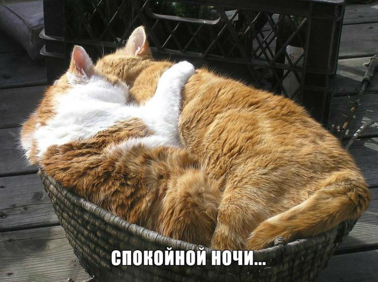 Спокойной ночи