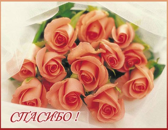 Открытка «Международный день «Спасибо» (International Thank You Day)» №1784