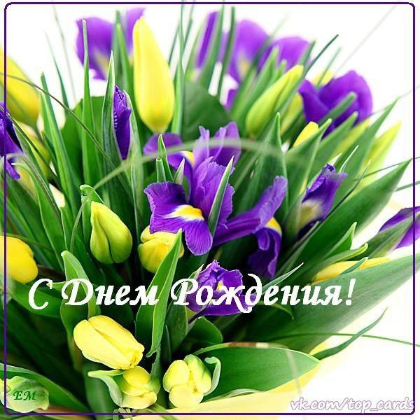 День рождения