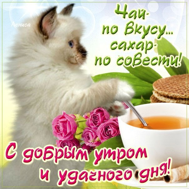 Доброе утро