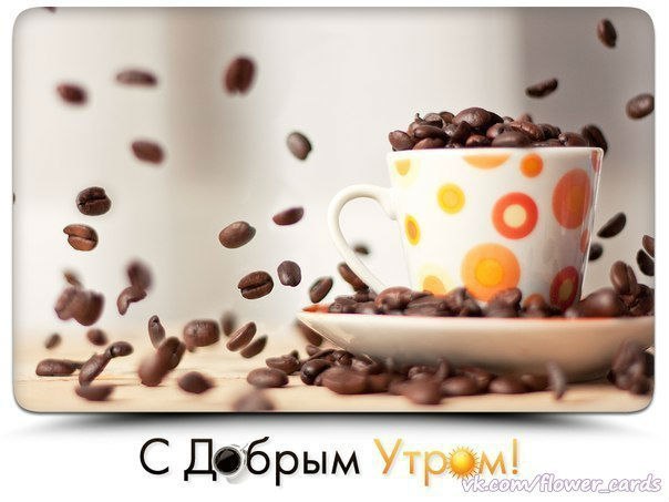 Доброе утро