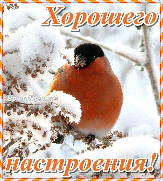 Хорошего настроения