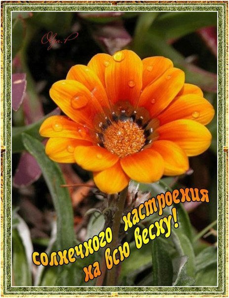 Открытка «Хорошего настроения» №2842