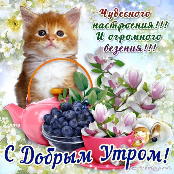 Доброе утро