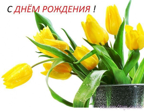 День рождения