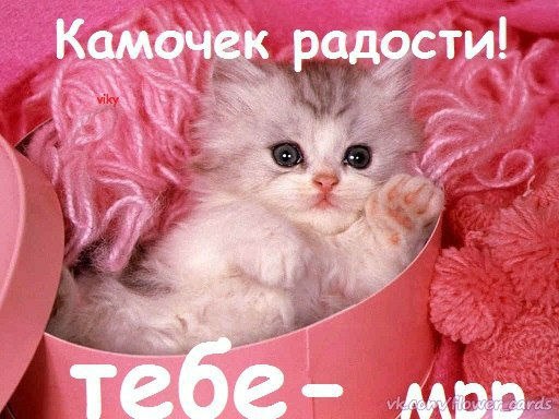 Для друзей