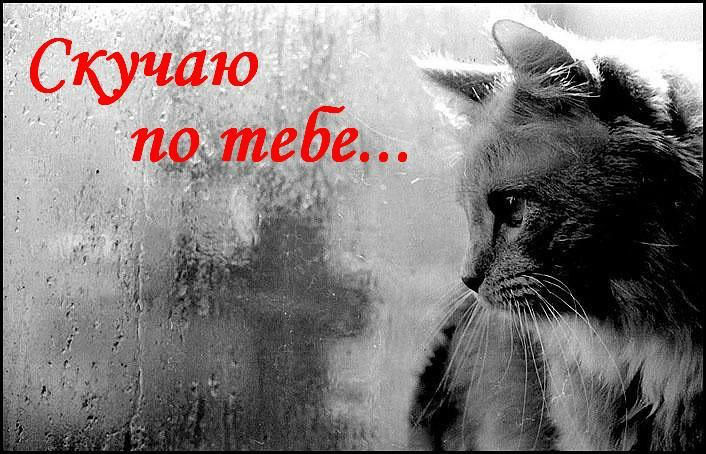 Открытка «Скучаю» №2409