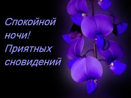 Спокойной ночи