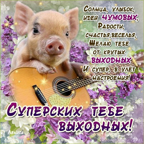 Открытка «Выходные» №1591