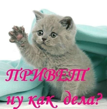 Привет