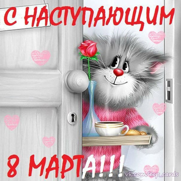 Международный женский день (8 марта)