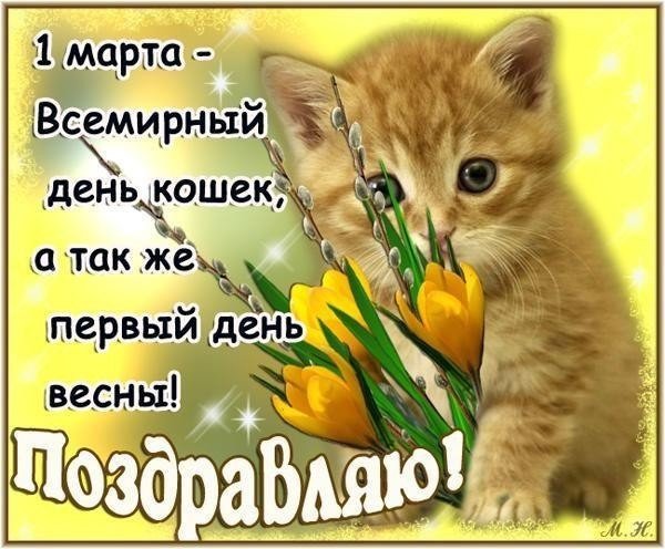 День кошек