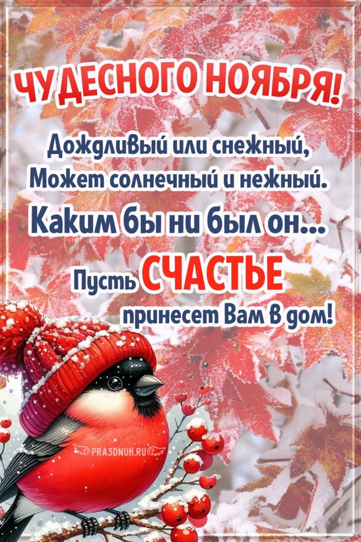 Ноябрь