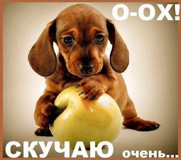 Открытка «Скучаю» №2410