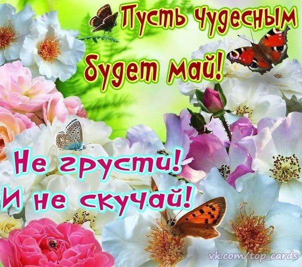 Открытка «Праздник весны и труда (1 мая)» №3497