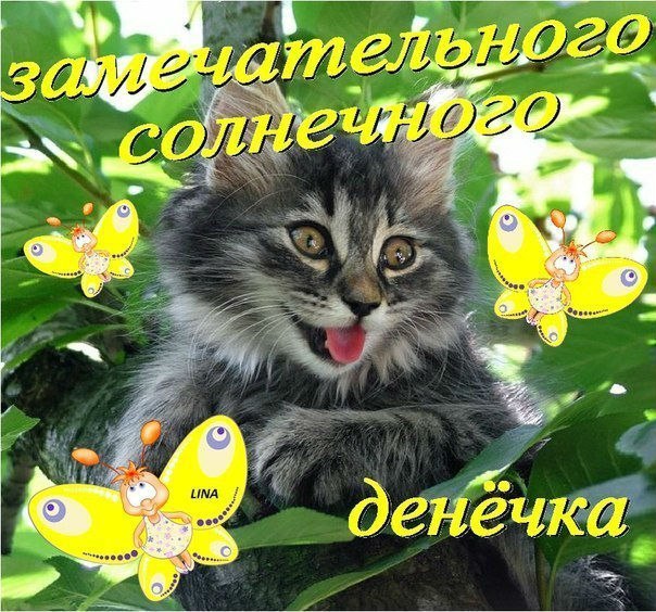 Доброе утро