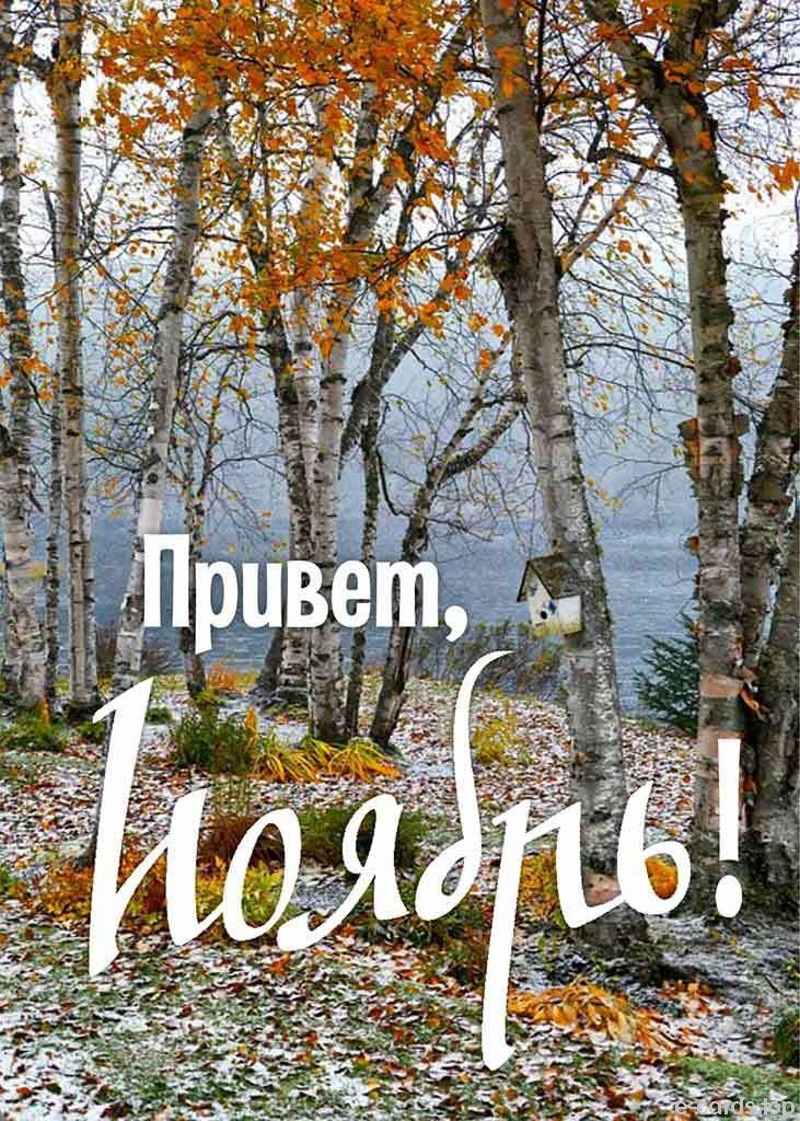 Открытка «Ноябрь» №8552