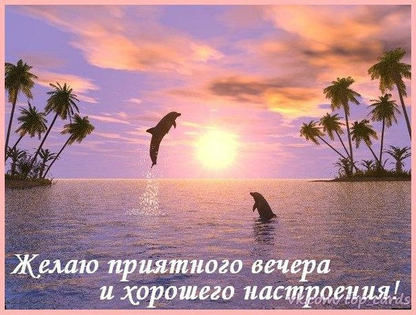Добрый вечер