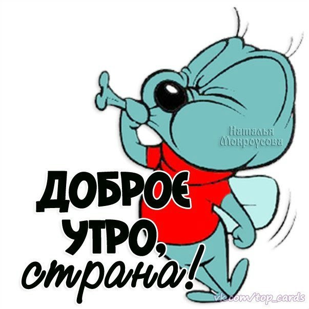 Доброе утро