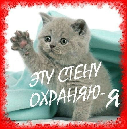 Для друзей