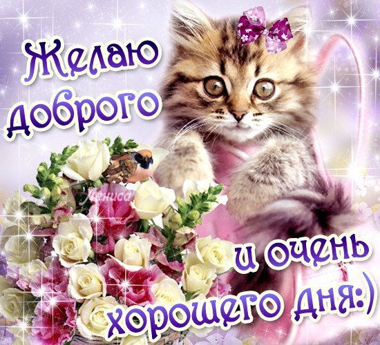 Доброе утро