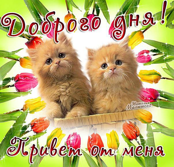 Открытка «Привет» №2386