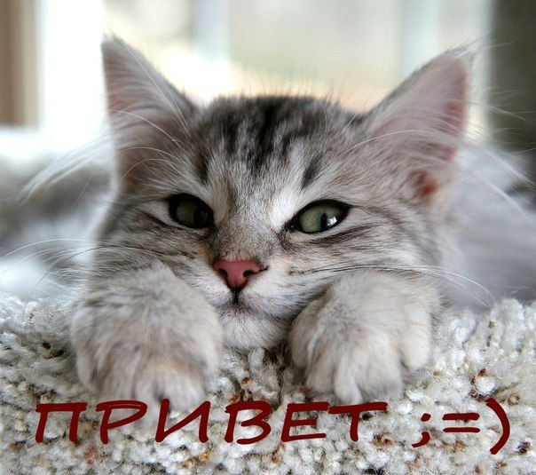 Привет