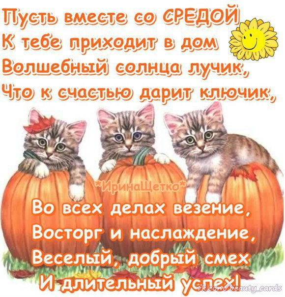 Открытка «Среда» №1629