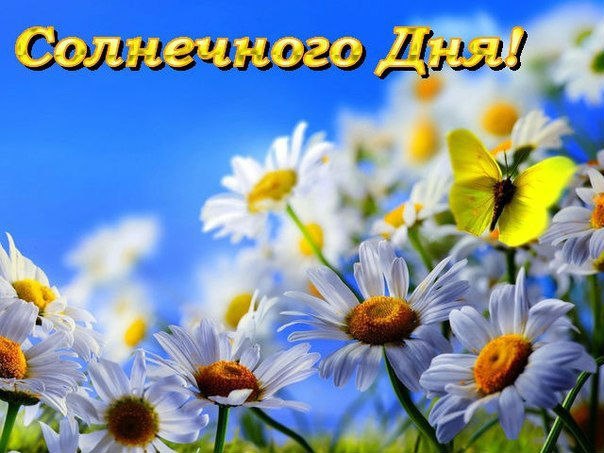 Доброе утро