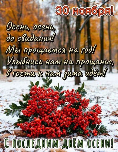 Открытка «Ноябрь» №8551
