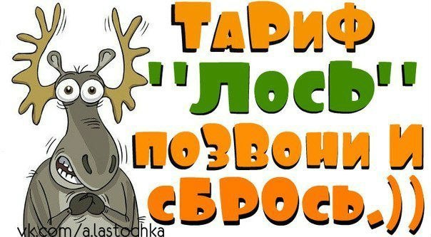 Приколы