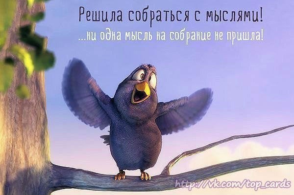 Приколы