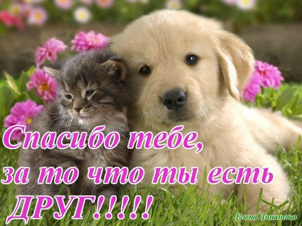 Открытка «Для друзей» №1990