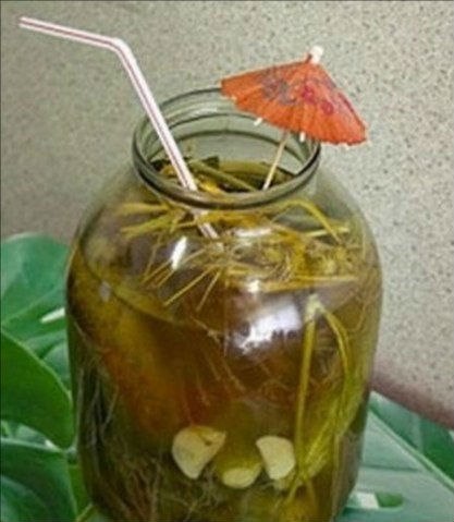 Приколы