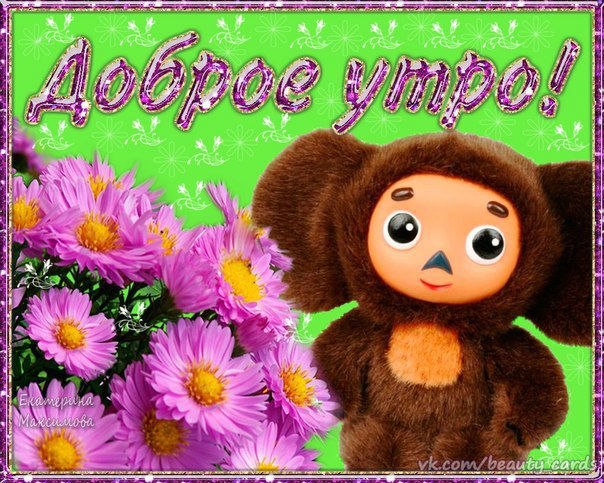 Доброе утро