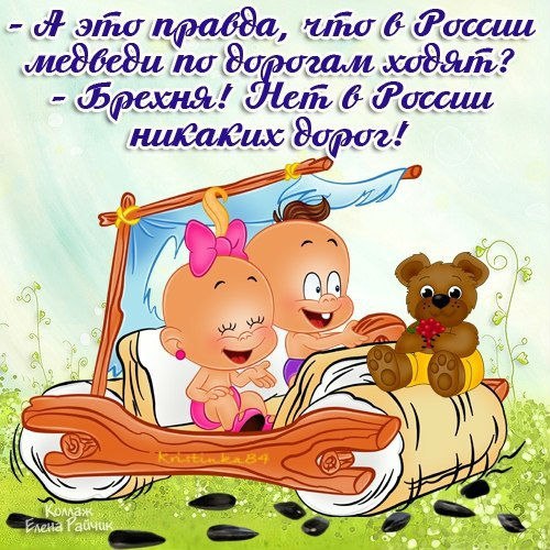Приколы