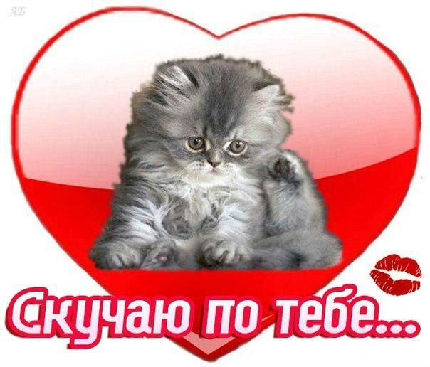 Открытка «Скучаю» №2412