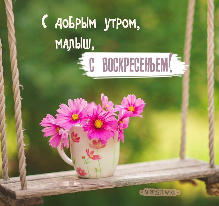 Открытка «Воскресенье» №5945