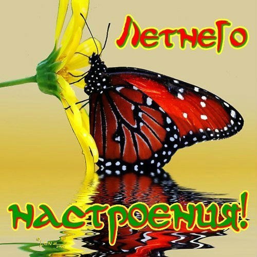 Лето