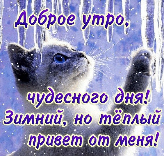 Открытка «Зима» №840