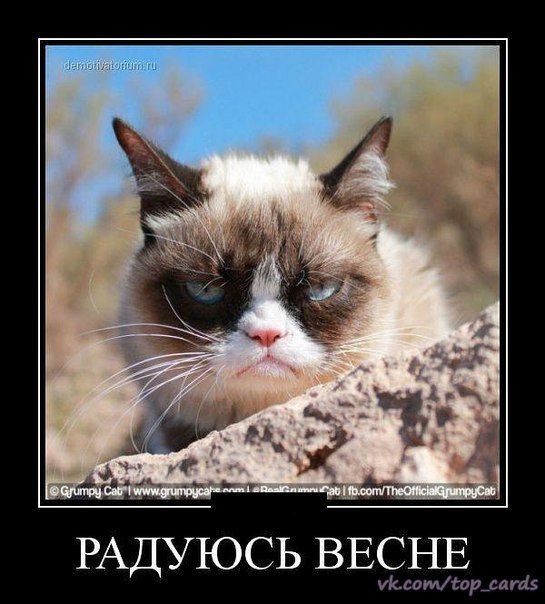 Приколы