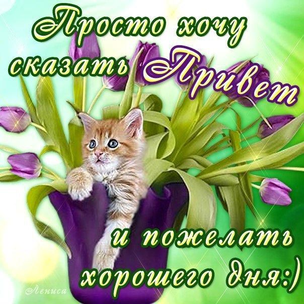Доброе утро