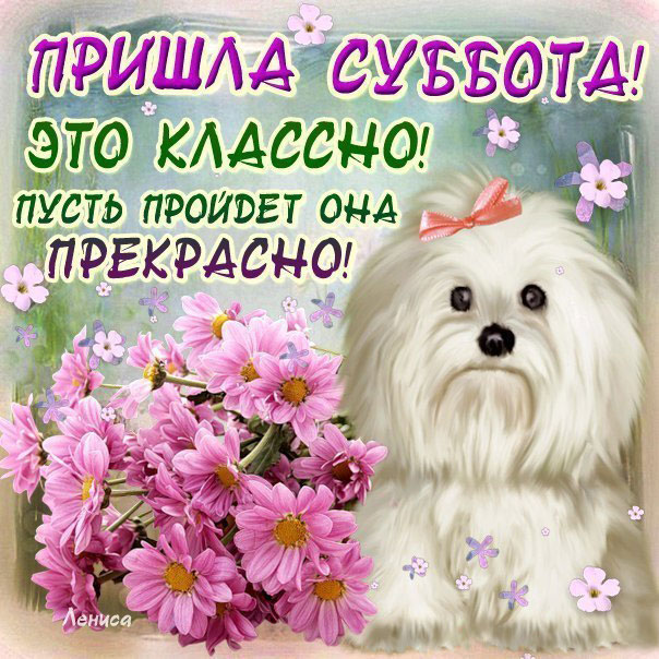 Открытка «Суббота» №5939